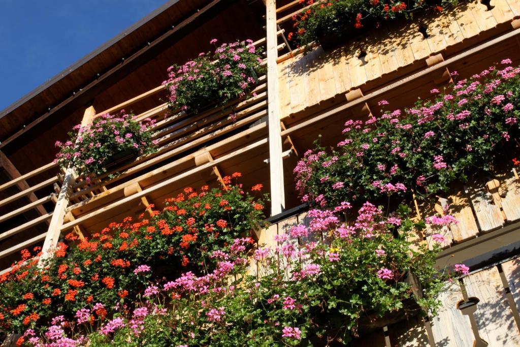Albergo Centrale Forni di Sopra Exteriör bild